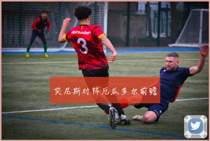 突尼斯对阵厄瓜多尔前瞻