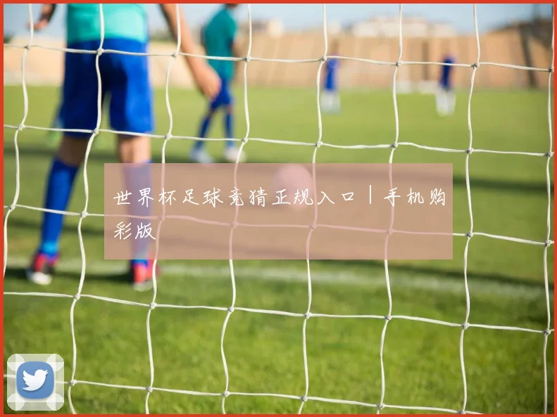 世界杯足球竞猜正规入口｜手机购彩版