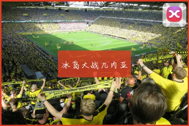 冰岛大战几内亚